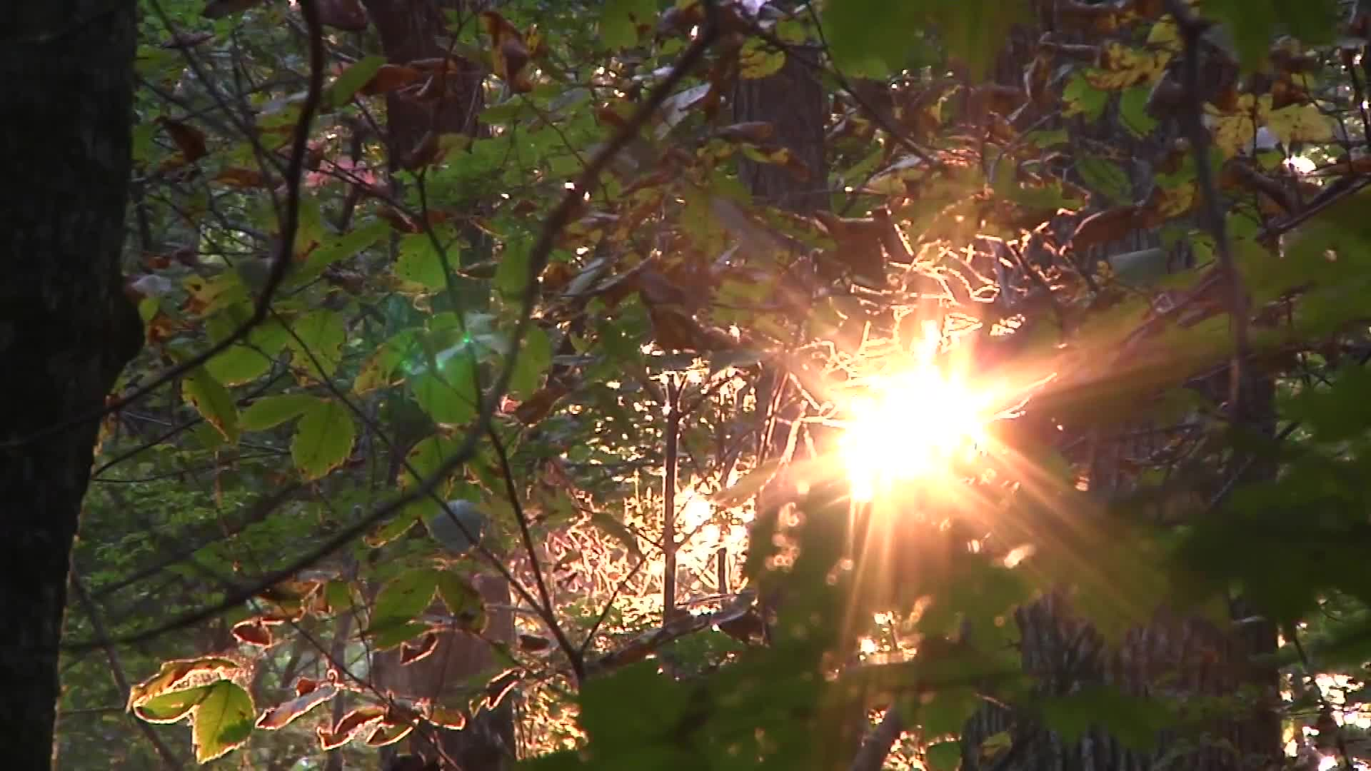 ODNR:  Ohio's Scenic Geology